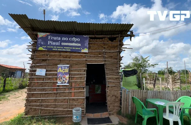 Conheça o Fruta no Copo, empreendimento que une sabor e perseverança