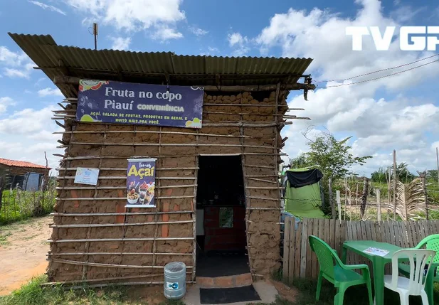 Conheça o Fruta no Copo, empreendimento que une sabor e perseverança em Teresina