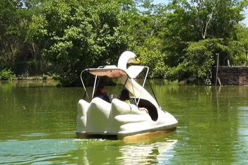 Conheça o Bioparque Zoobotânico: o maior parque urbano do Nordeste