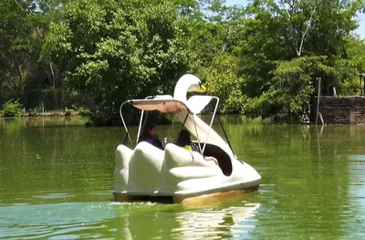 Conheça o Bioparque Zoobotânico: o maior parque urbano do Nordeste