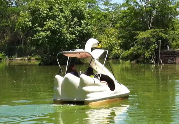 Conheça o Bioparque Zoobotânico: o maior parque urbano do Nordeste