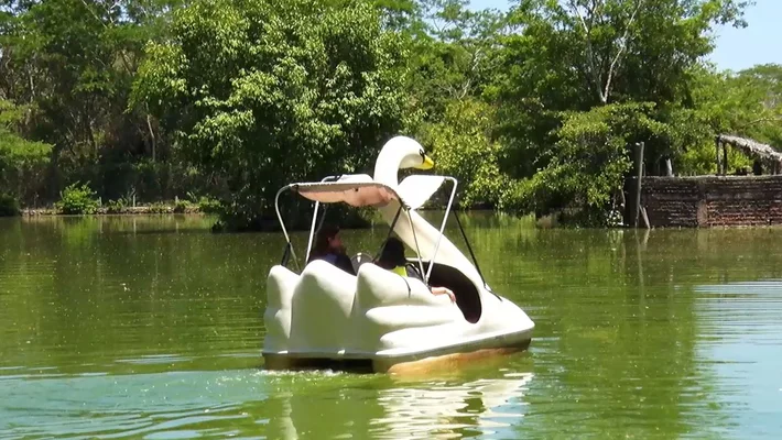 Conheça o Bioparque Zoobotânico: o maior parque urbano do Nordeste