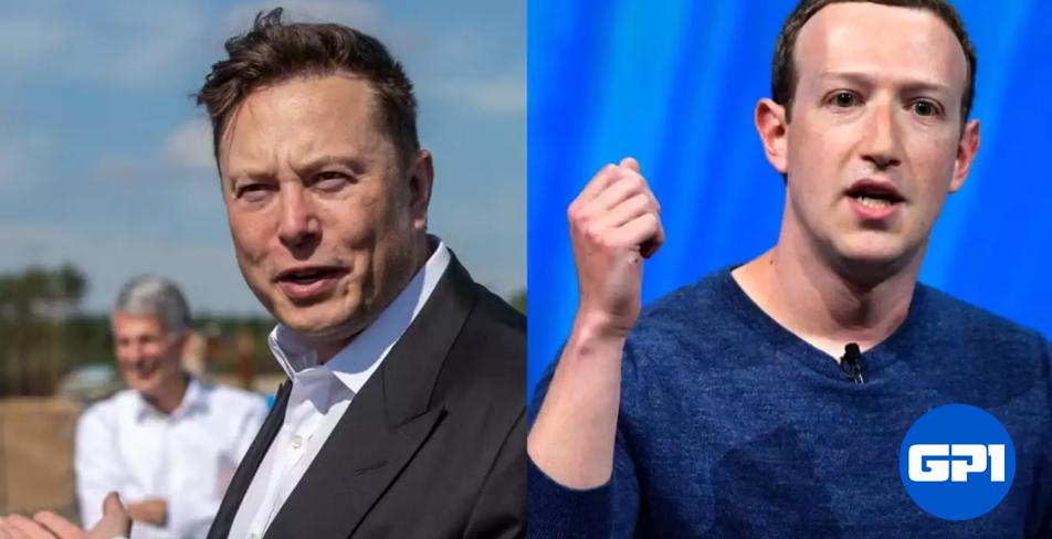 Elon Musk Diz Que Luta Com Zuckerberg Será Transmitida No Twitter Gp1 7792